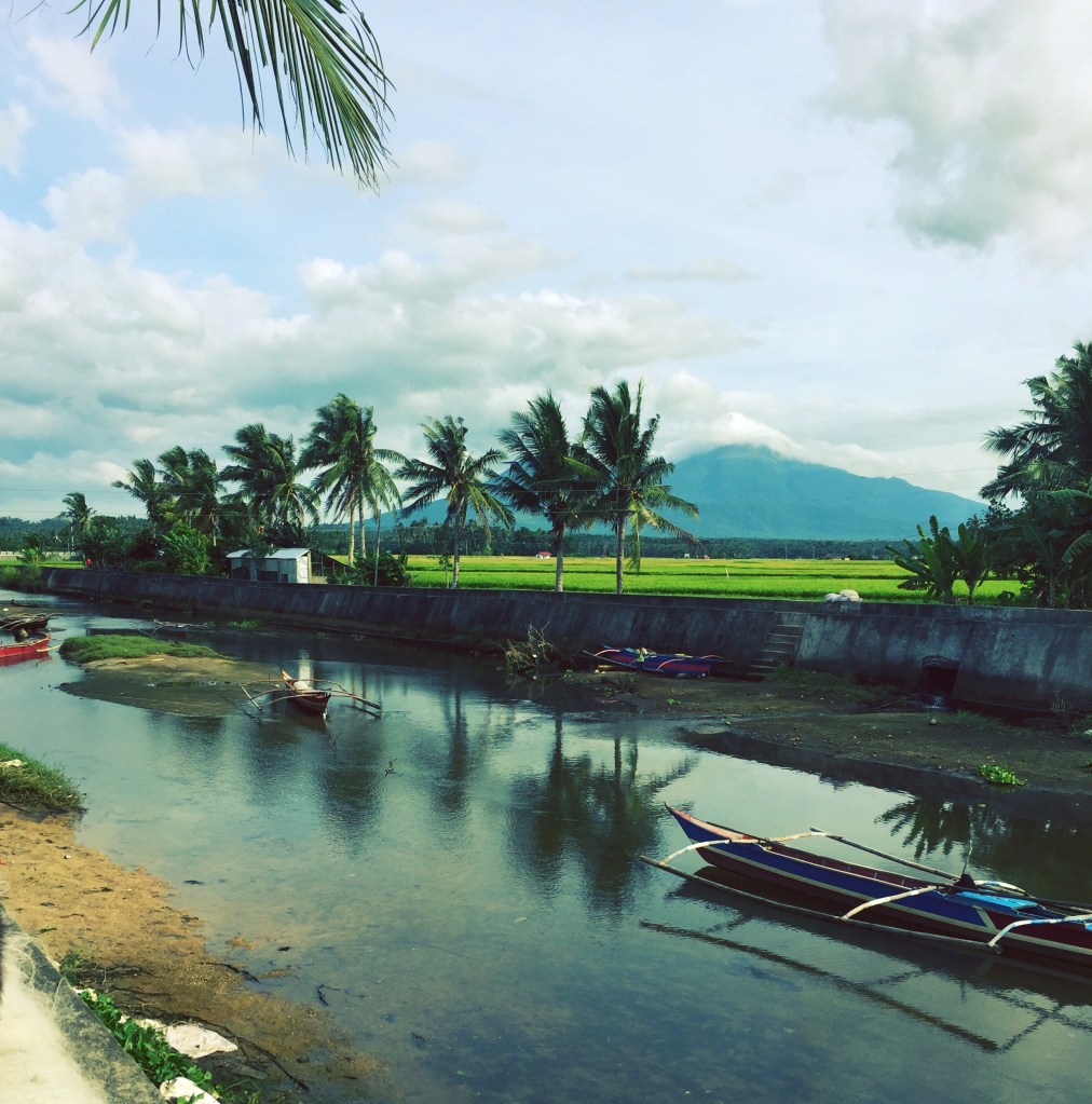 Day one of Life on the&nbsp;Farm